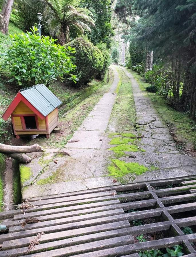 Casa Em Campos Do Jordao - 3 Quartos, Com Churrasqueira Eksteriør billede